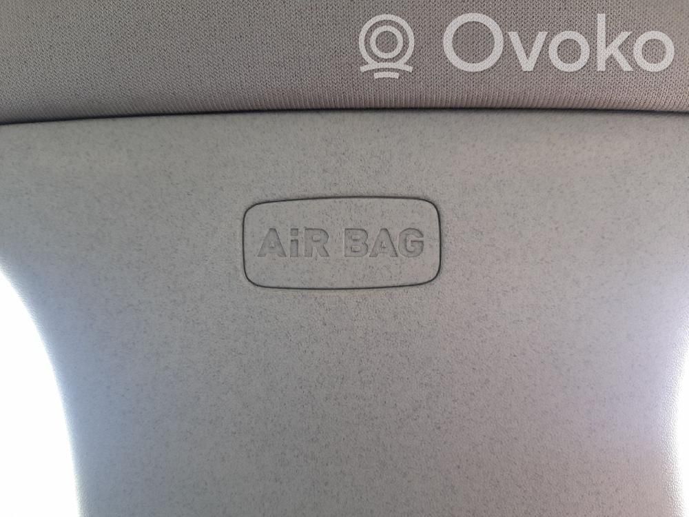 Airbag cortină   1P0880741D