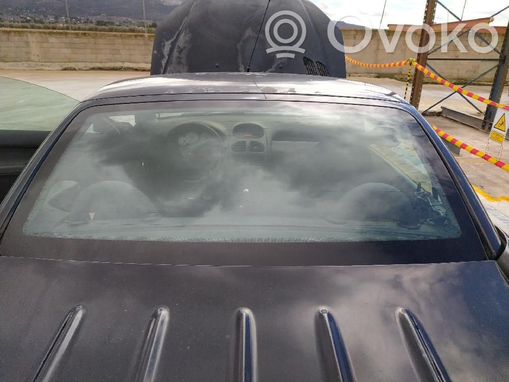 Peugeot 206 CC Lunetă spate 