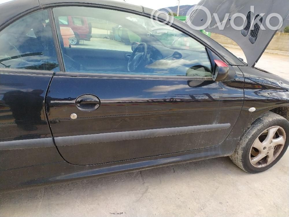 Etuovi   9004P1