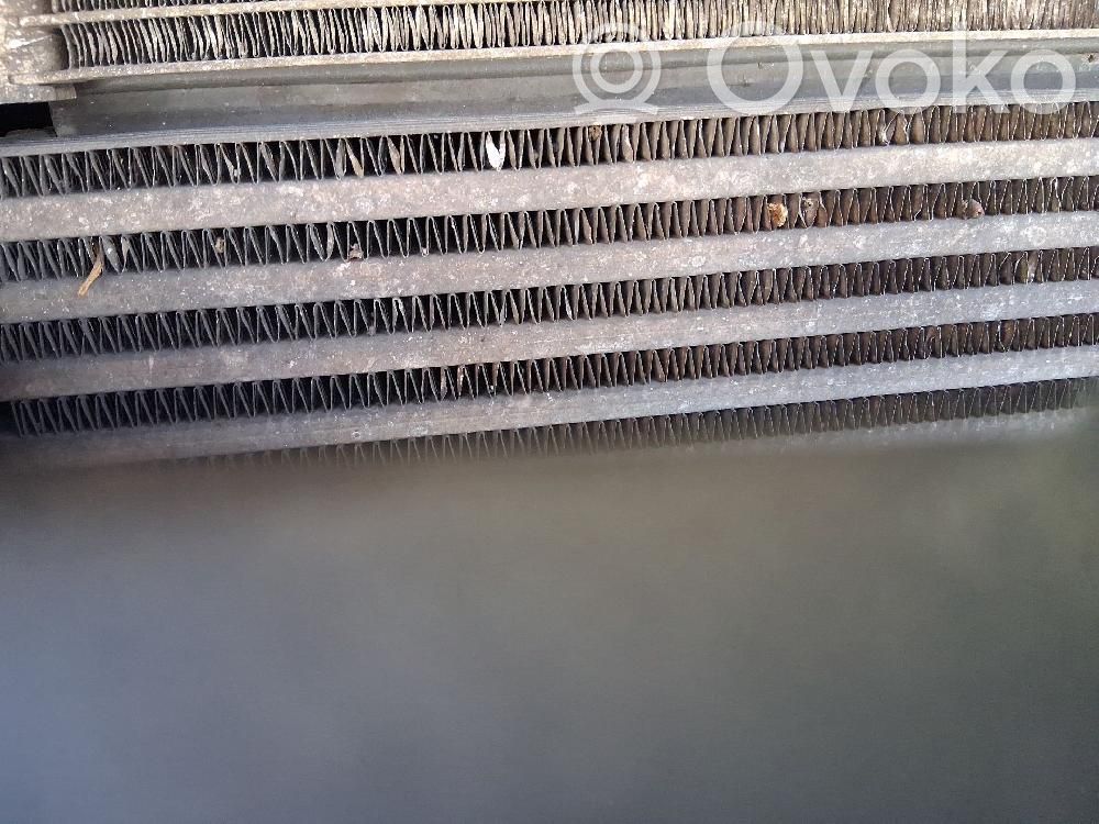 Volkswagen Polo V 6R Radiator intercooler 