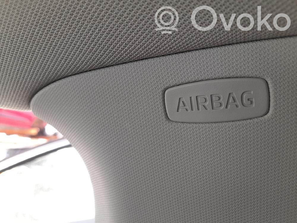 Skoda Octavia Mk3 (5E) Airbag cortină 