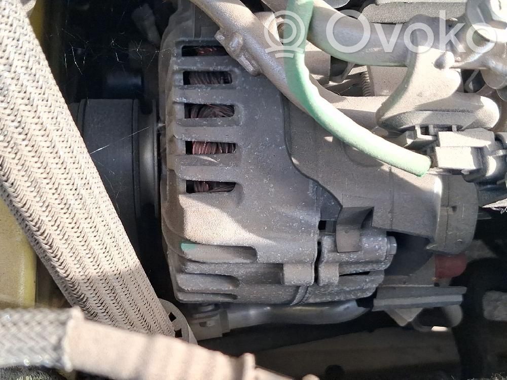 Alternador   231006293R