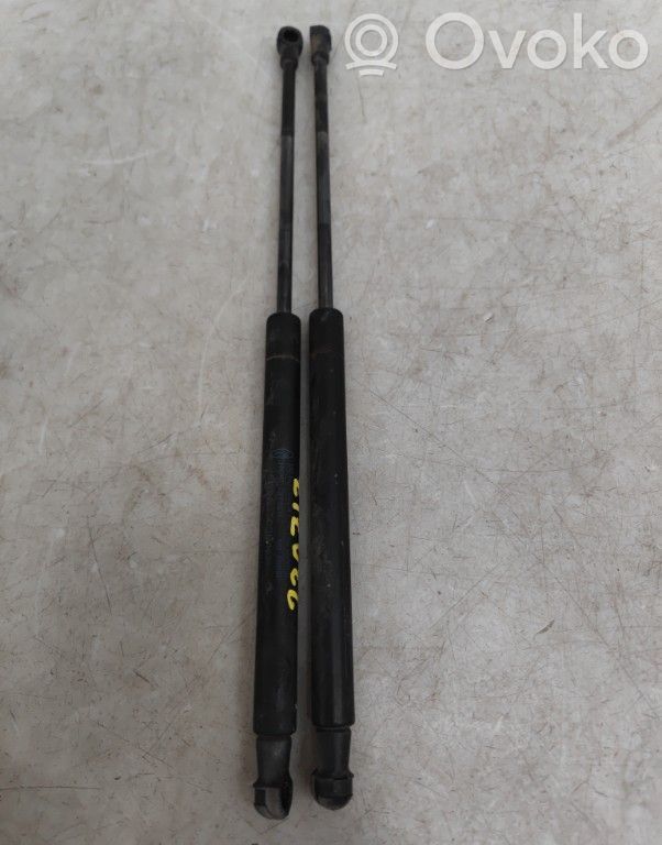 Tailgate/trunk strut/damper   1542413