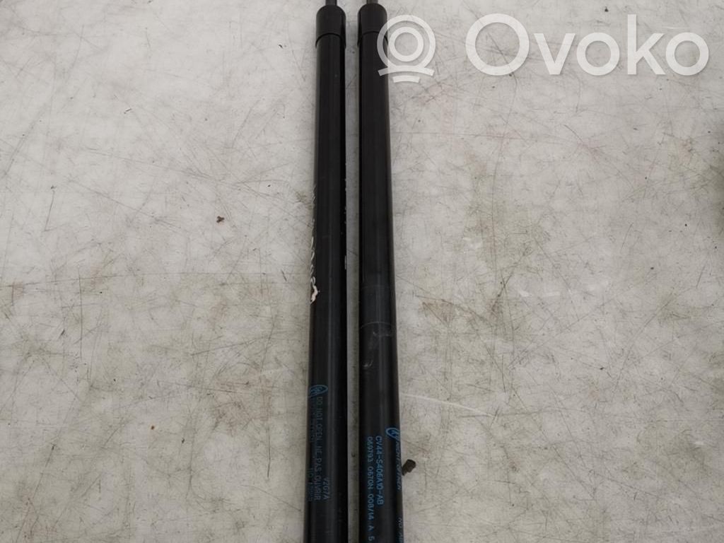 Tailgate/trunk strut/damper   1945552