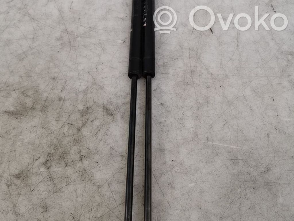Tailgate/trunk strut/damper   1146649