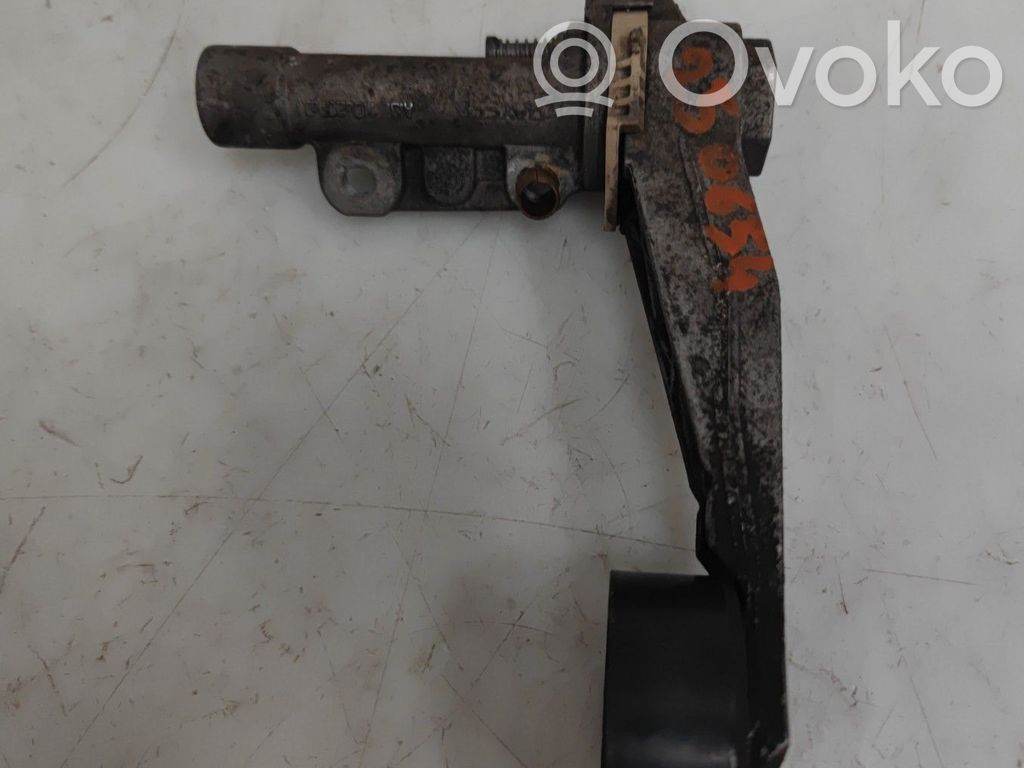 Peugeot 207 Napinacz paska alternatora 