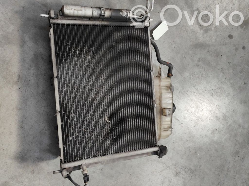 Renault Clio III A/C cooling radiator (condenser) 
