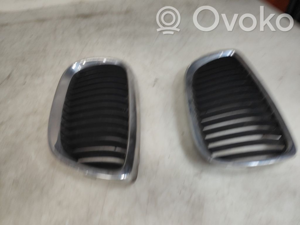 Front grill   51137157276