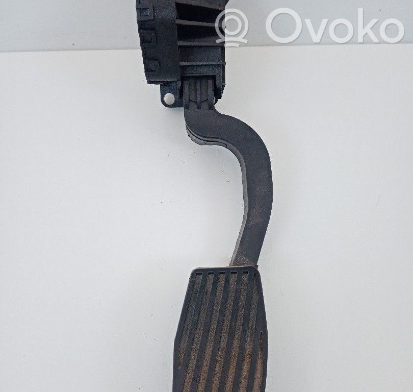 Akseleratora pedālis   13305804