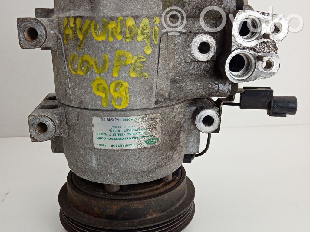 Air conditioning (A/C) compressor (pump)   AKSAB09