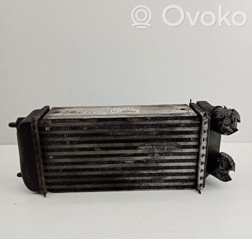 Peugeot 206 Intercooler radiator 