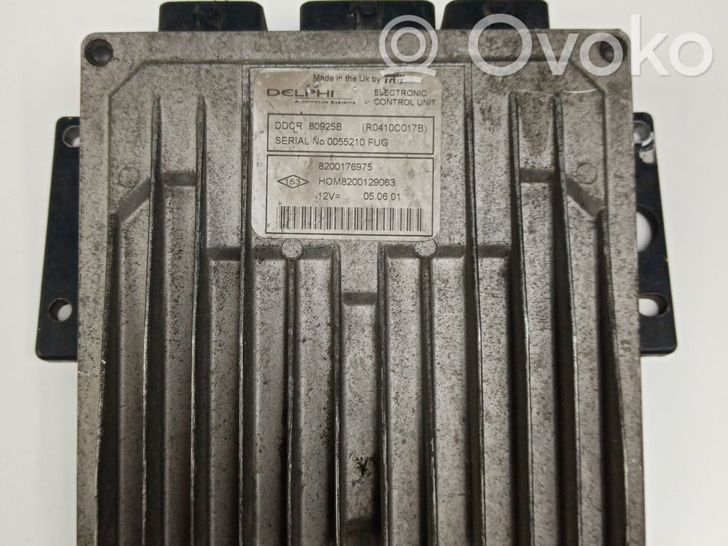Motorsteuergerät/-modul   8200176975,DDCR80925B,DELPHI,HOM8200129063