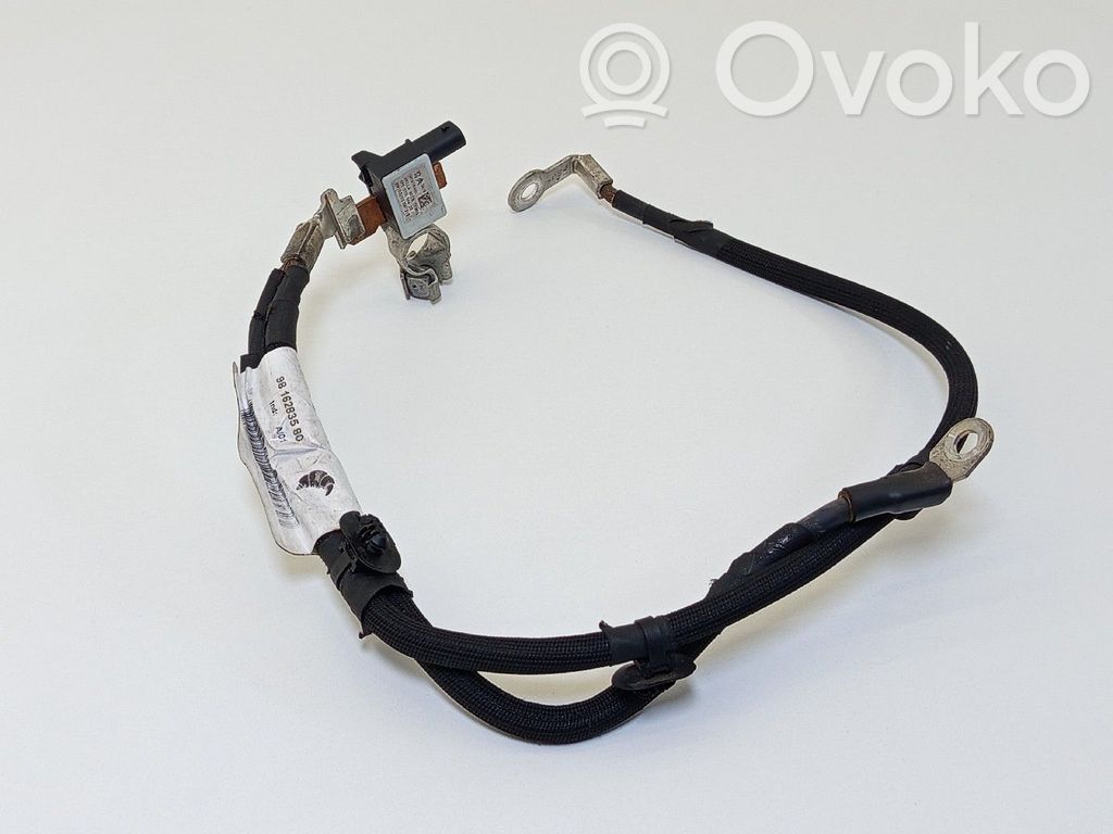 Sonstige Steuergeräte / Module   9816283580,9814740480,BORNEBATERIA