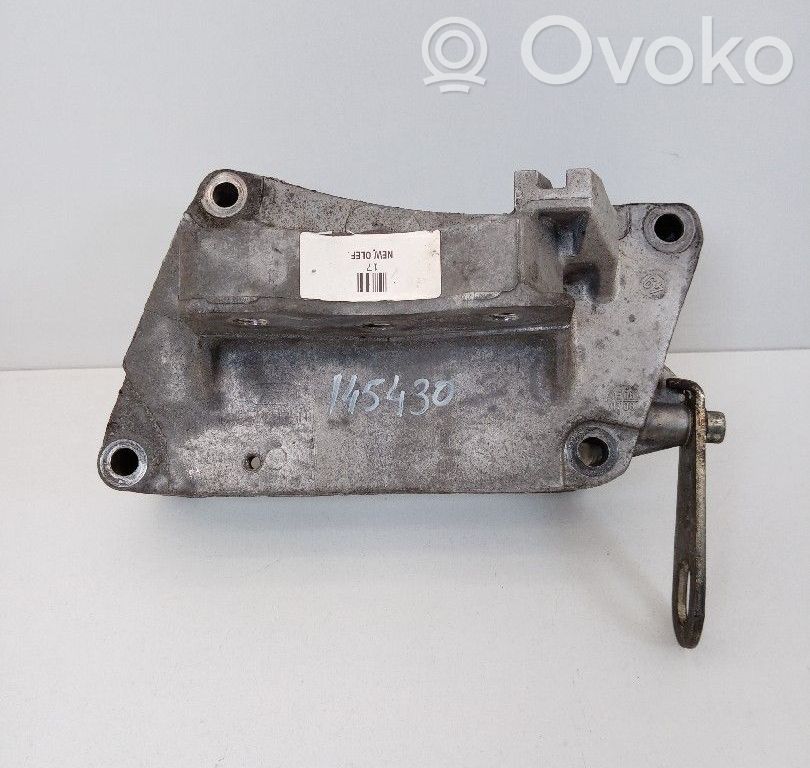 Dzinēja spilvens   55199250