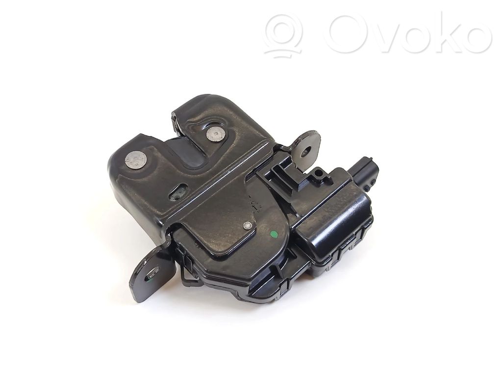 Tailgate exterior lock   846300003R,40507160