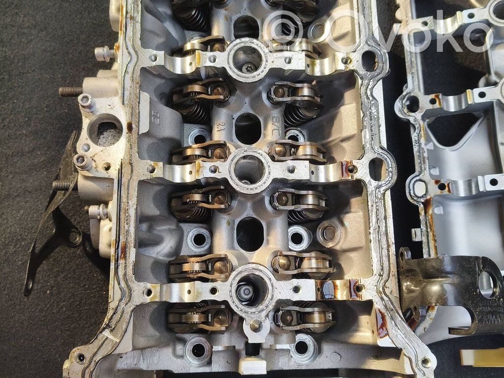 Audi Q5 SQ5 FY Galvutė 