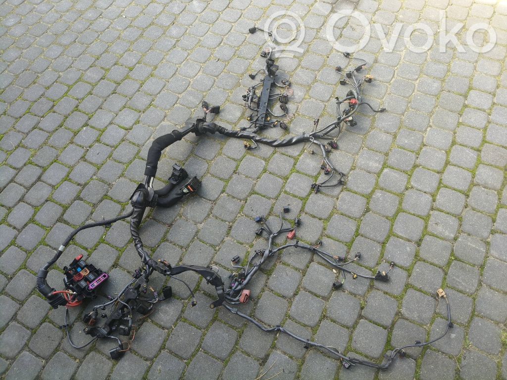 Otros cableados   771005800,4H1971713DP