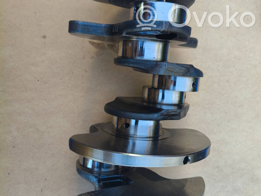 Crankshaft   059019BD