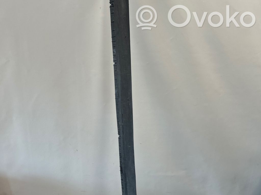 Tesla Model Y Slenkstis 