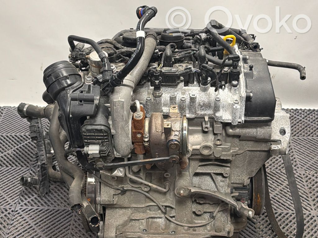 Motor