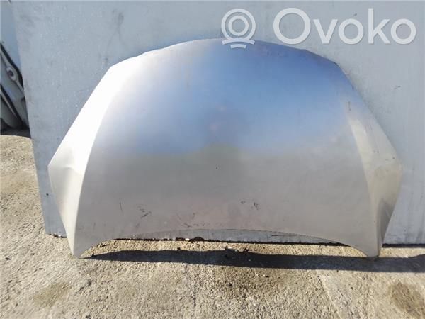 Engine bonnet/hood
