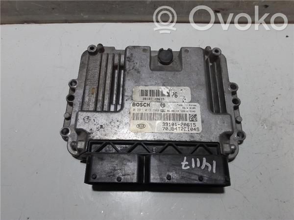 Engine control unit/module ECU   391012A615,281013149