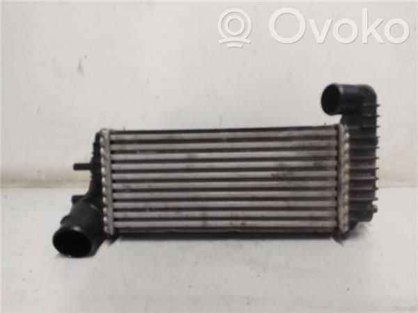 Radiador intercooler   BV619L440CJ