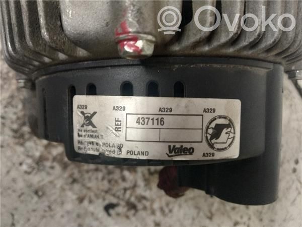 Generator/alternator   437116