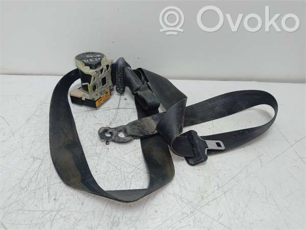 Cinturón delantero   33008567