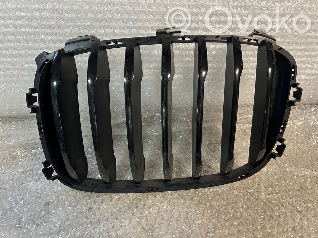 BMW X3 G01 Front grill 