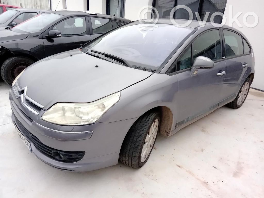 Citroen C4 I Puerta delantera 