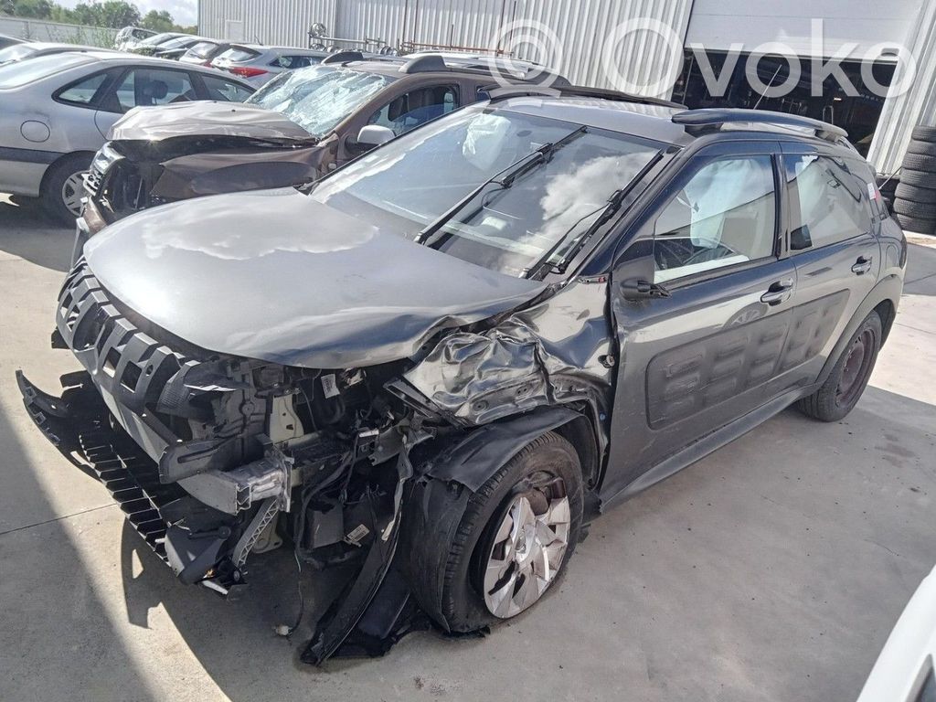Citroen C4 Cactus Szyba drzwi przednich 