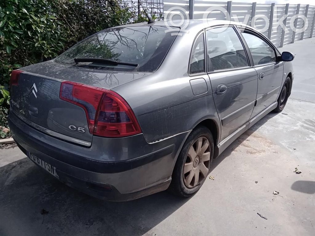 Citroen C5 Galinis dangtis (bagažinės) 