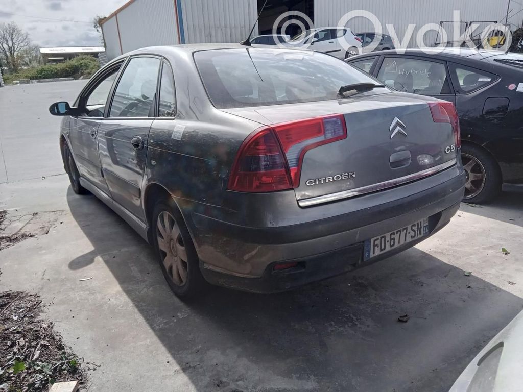 Citroen C5 Puerta trasera 