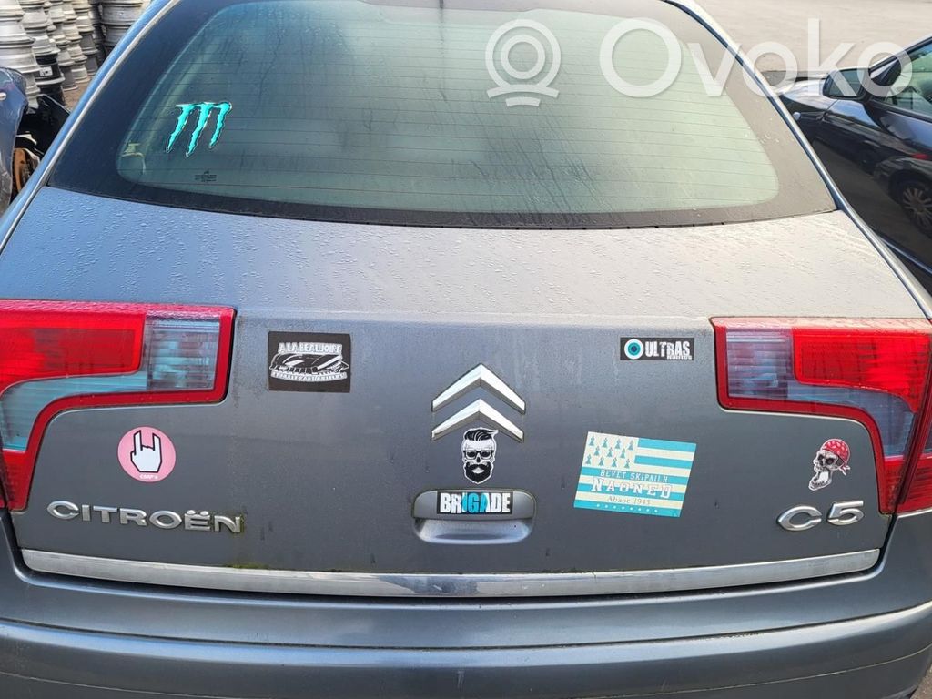 Citroen C5 Galinis dangtis (bagažinės) 