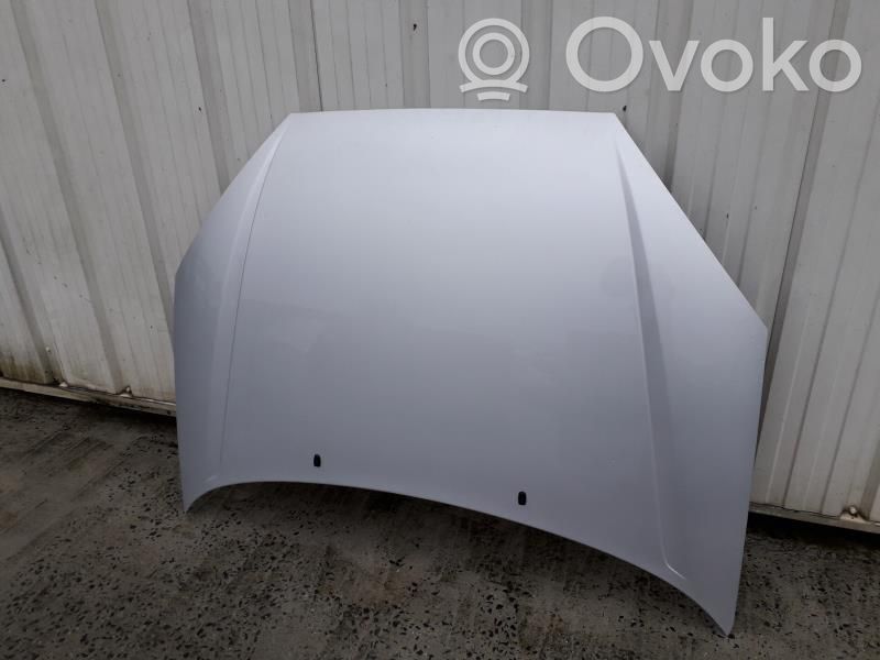 Ford Focus Dangtis variklio (kapotas) 