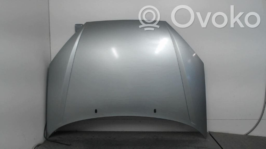 Ford Focus Dangtis variklio (kapotas) 