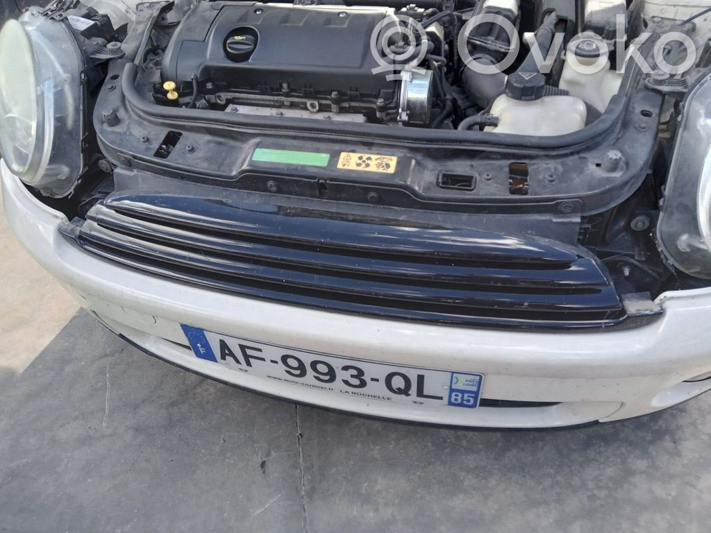 Mini One - Cooper R56 Front grill 