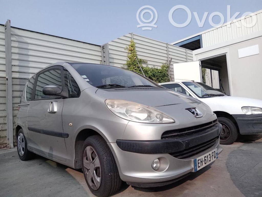 Peugeot 1007 Etusäleikkö 