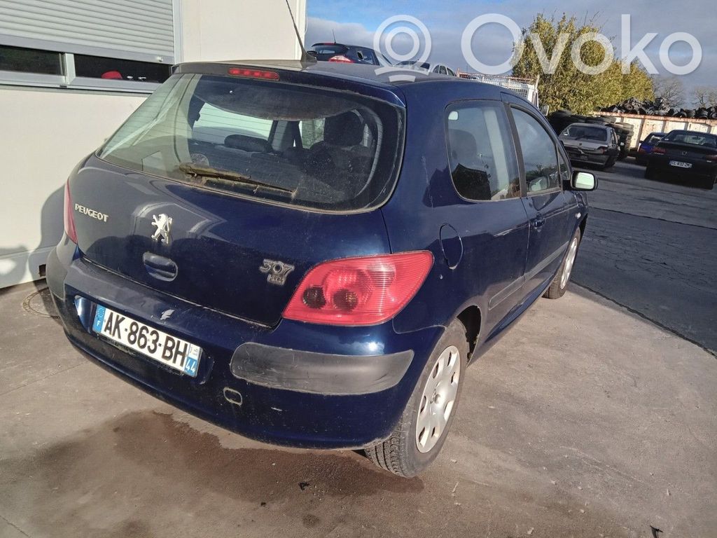 Peugeot 307 Third/center stoplight 