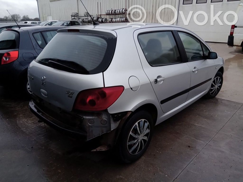 Peugeot 307 Third/center stoplight 