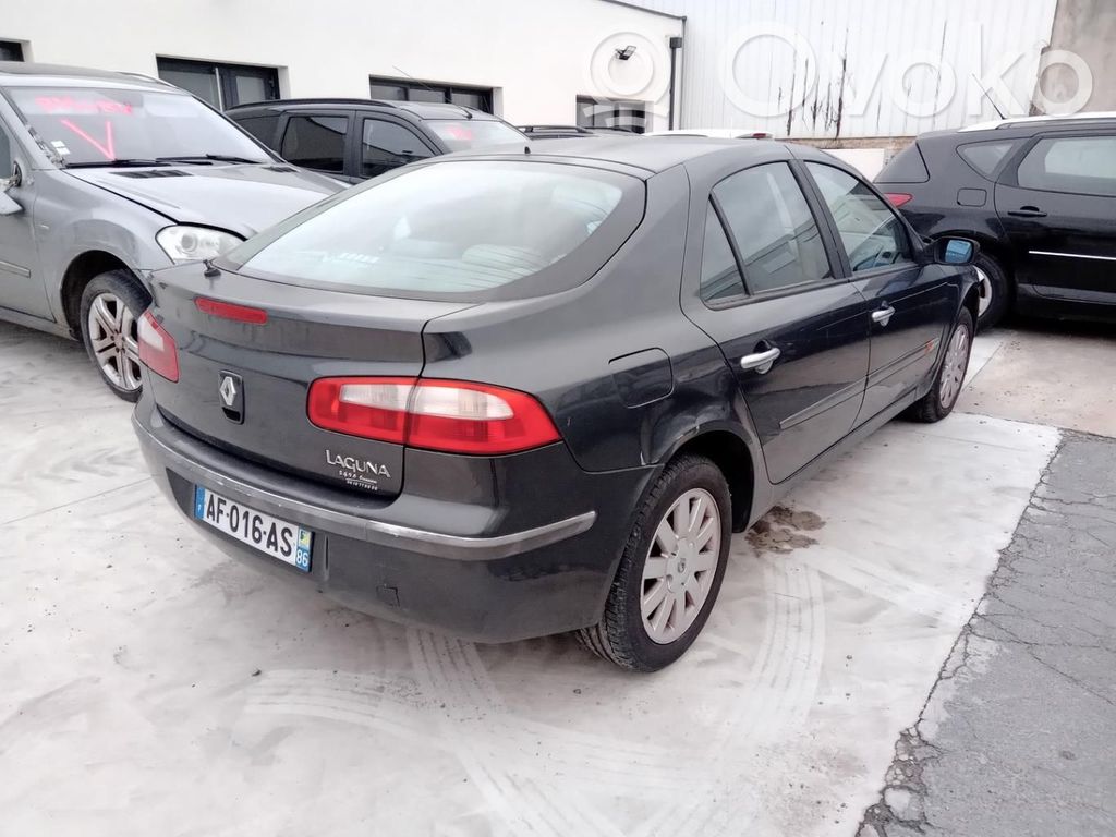 Renault Laguna II Puerta trasera 