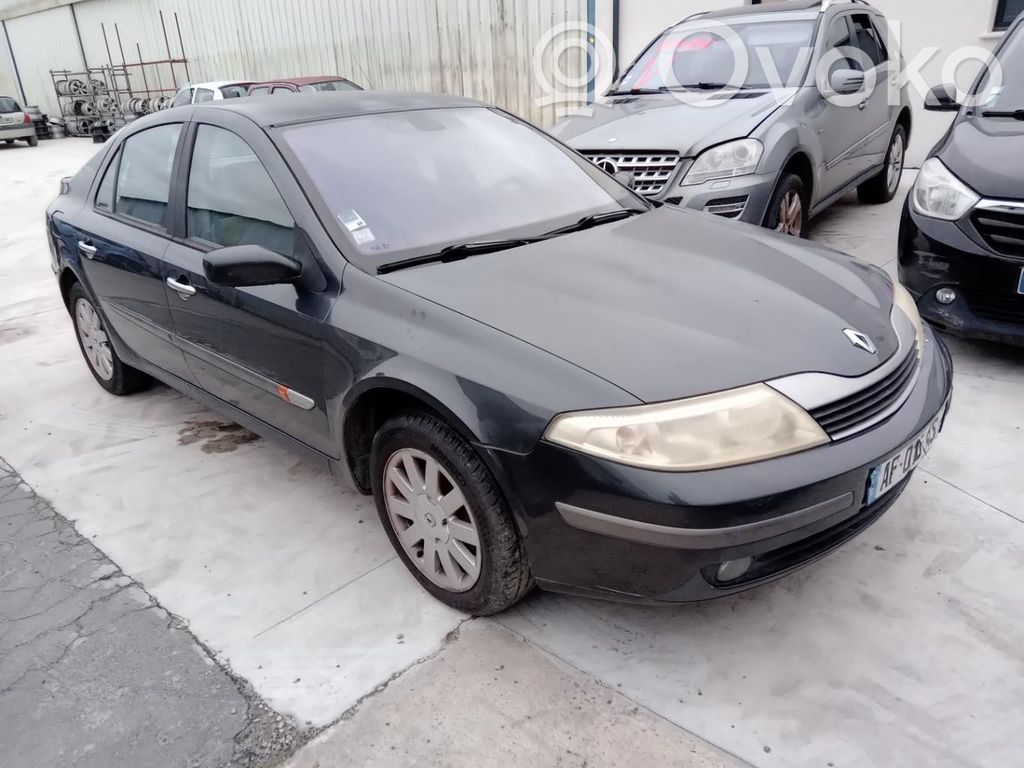 Renault Laguna II Durvis 