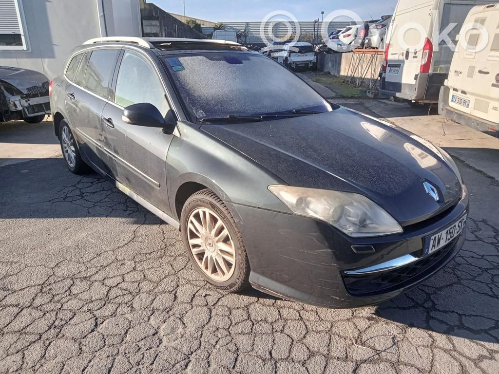 Renault Laguna III Manecilla externa puerta delantera 