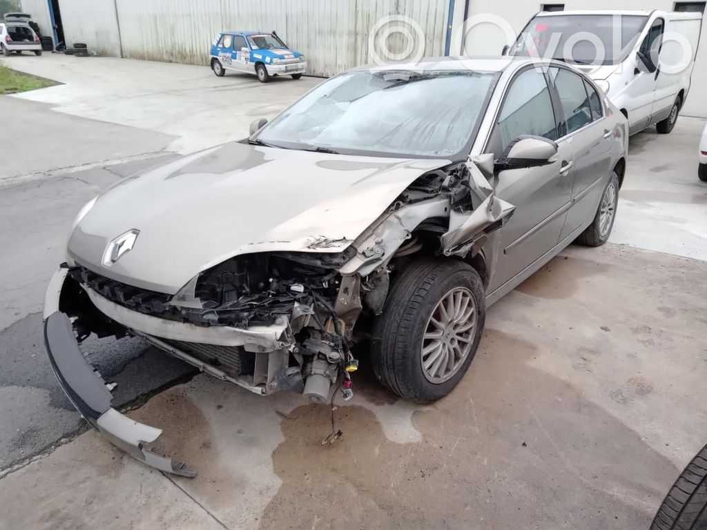 Renault Laguna III Drzwi przednie 