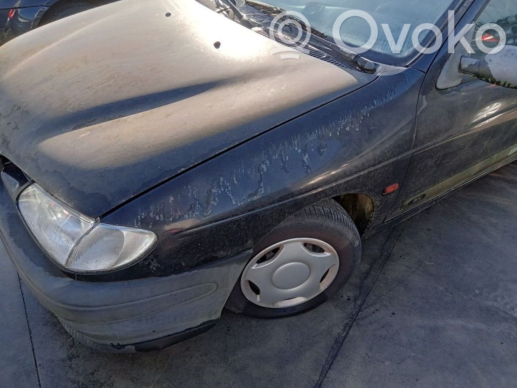 Renault Megane I Lokasuoja 