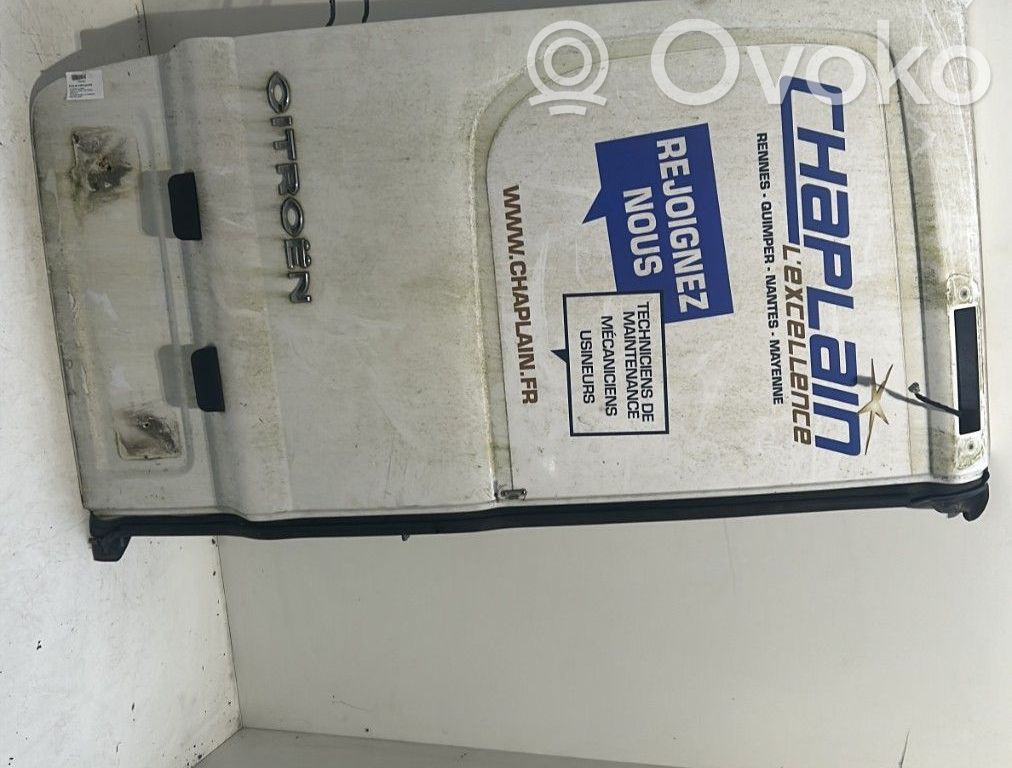 Citroen Jumpy Back/rear loading door 