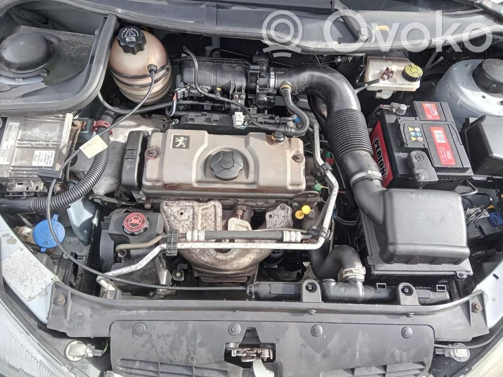 Peugeot 206 Generatorius 