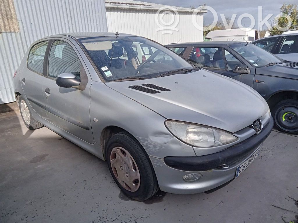 Peugeot 206 Puerta delantera 