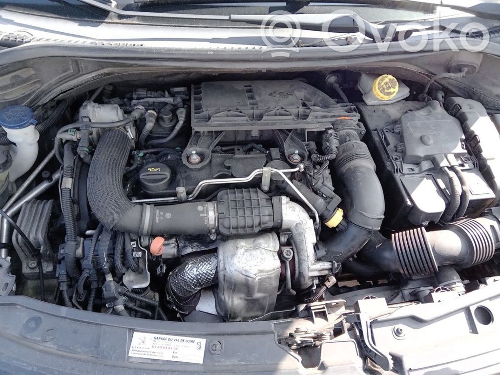 Motor   0135RP